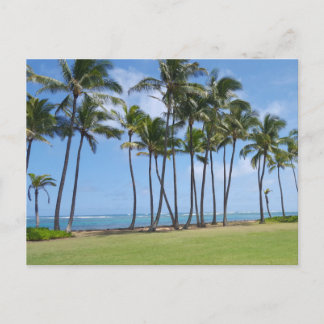 Hawaii Coast Postcard