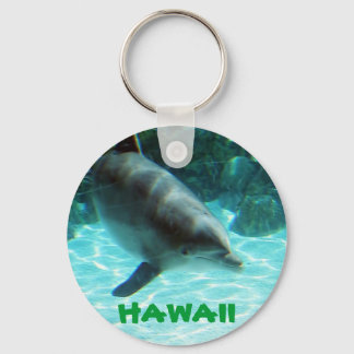 Hawaii Dolphin Keychain