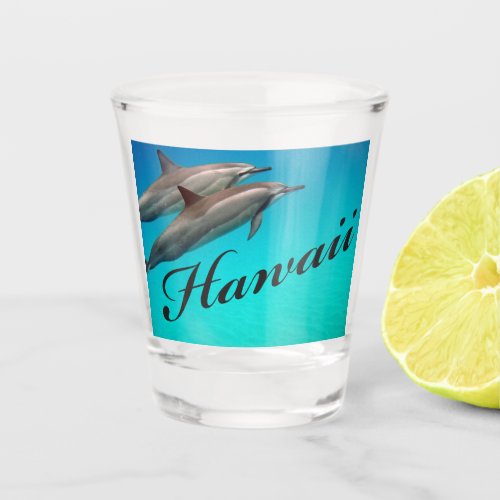 Hawaii Dolphin Shot glass