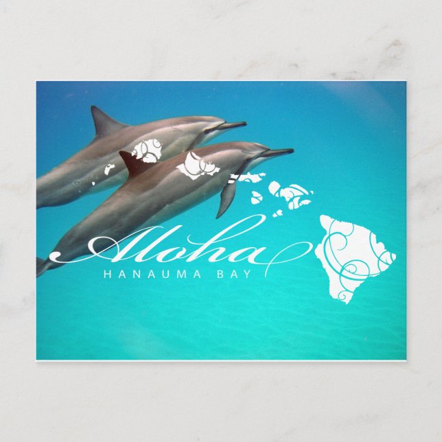 Hawaii Dolphins and Hawaii Islands Postcard (Front)