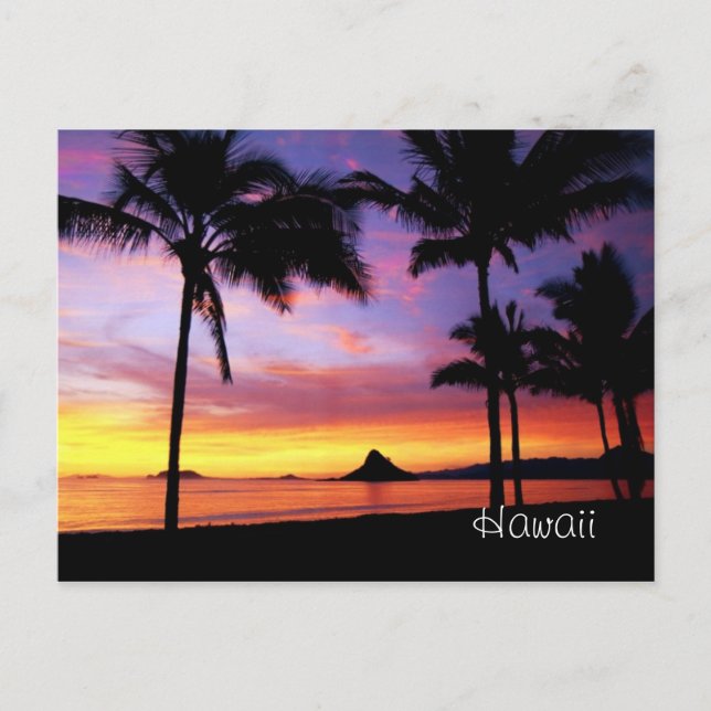 Hawaii Dream Postcard (Front)
