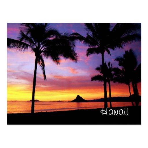 Hawaii Dream Postcard | Zazzle