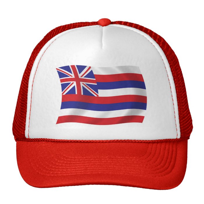 Hawaii Flag Hat