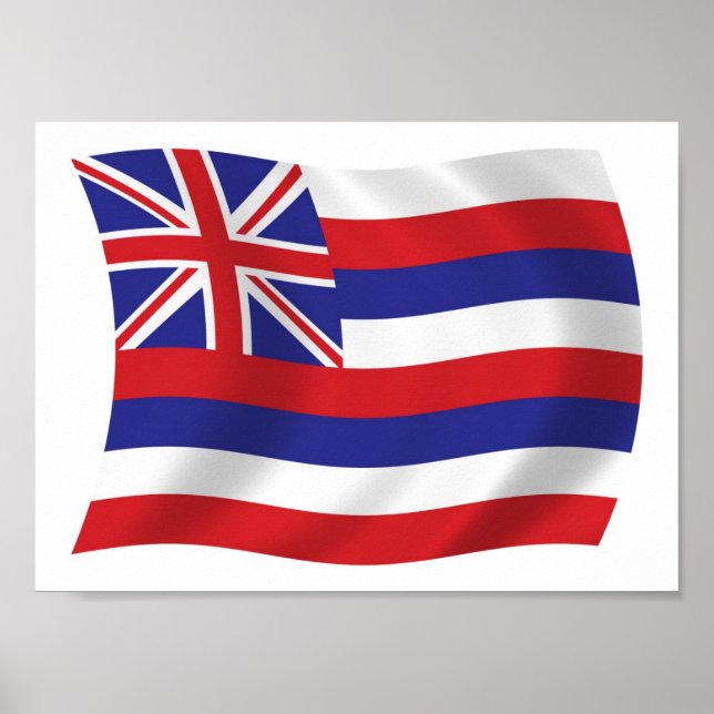 Hawaii Flag Poster Print (Front)