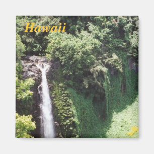 hawaii fridge magnet