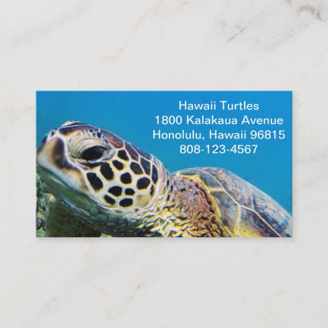 Hawaii Green Sea Turtle Business Card (Front)