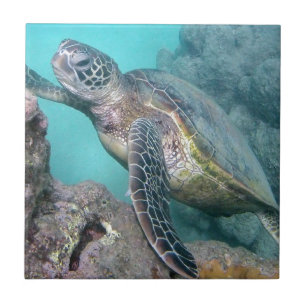 Hawaii Green Sea Turtle Ceramic Tile