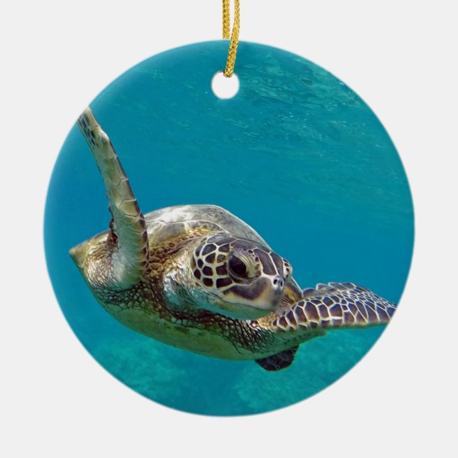 Hawaii Green Sea Turtle - Honu Ceramic Ornament (Front)