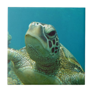 Hawaii Green Sea Turtle - Honu Ceramic Tile