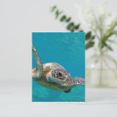 Hawaii Green Sea Turtle - Honu Postcard (Standing Front)