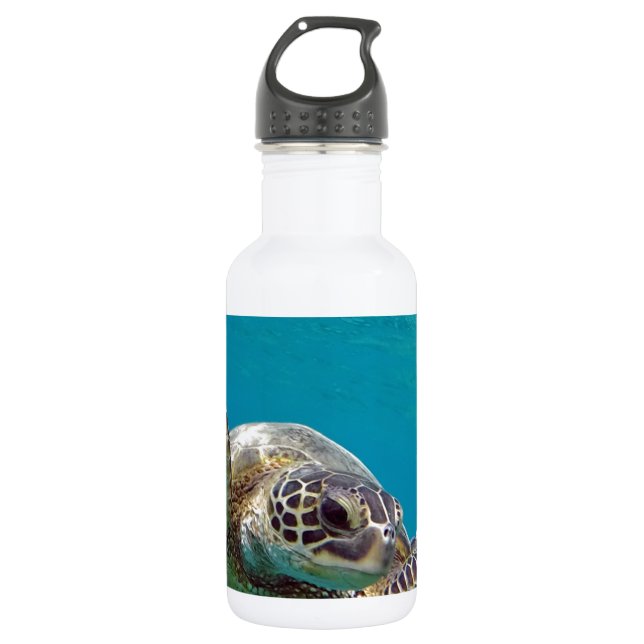 Hawaii Green Sea Turtle - Honu Stainless Steel Water Bottle (Front)