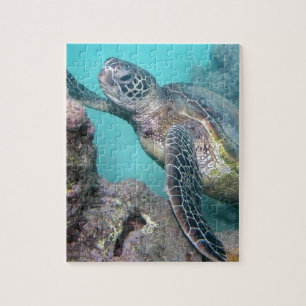 Hawaii Green Sea Turtle Jigsaw Puzzle