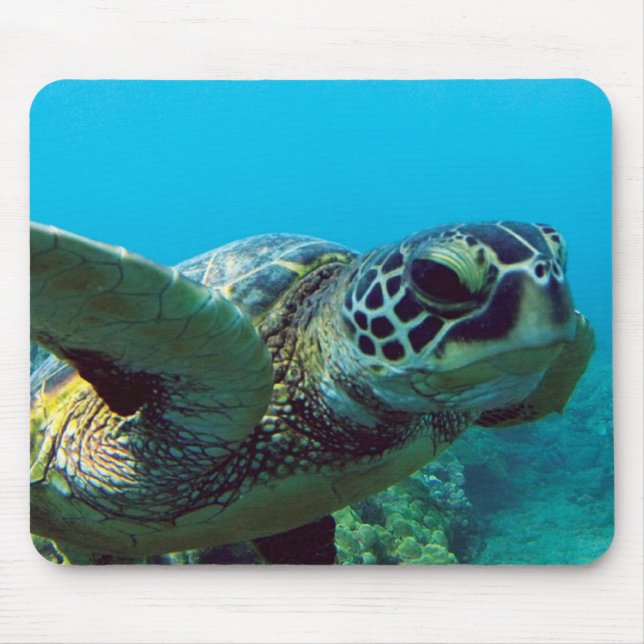 Hawaii Green Sea Turtle Mouse Pad (Front)