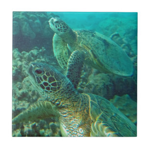 Hawaii Green Sea Turtles Ceramic Tile