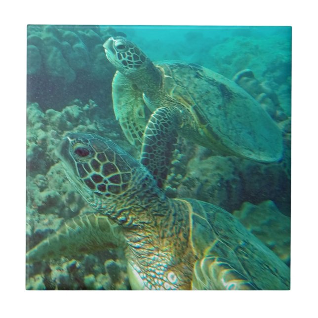Hawaii Green Sea Turtles Ceramic Tile (Front)