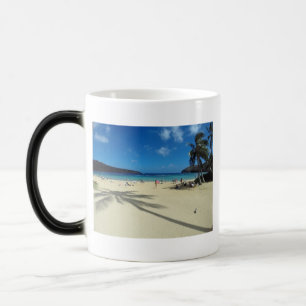 Hawaii Hanauma Bay Beach Color Morph Mug