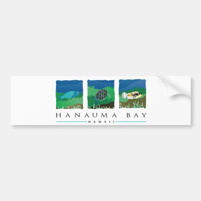Hawaii Hanauma Bay Bumper Sticker (Front)