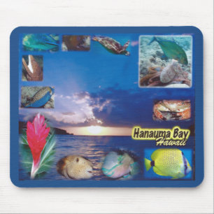 Hawaii Hanauma Bay Marine Life Mouse Pad