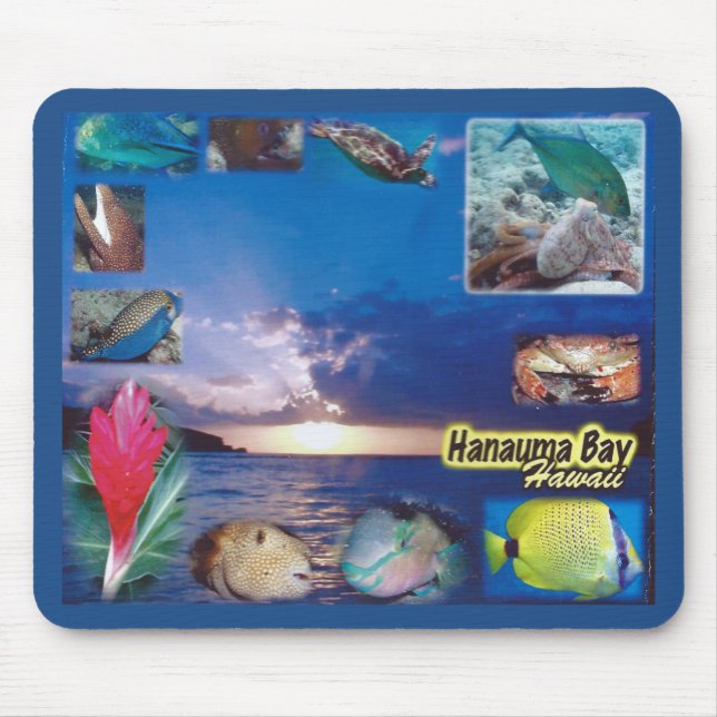 Hawaii Hanauma Bay Marine Life Mouse Pad (Front)