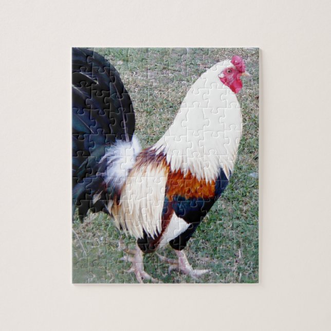 Hawaii Hanauma Bay Rooster Jigsaw Puzzle (Vertical)