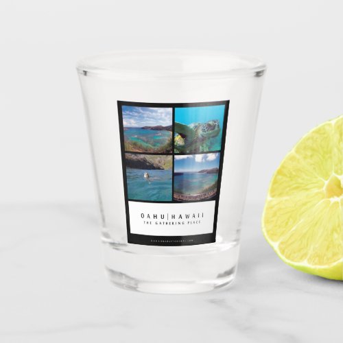 Hawaii Hanauma Bay Shot glass