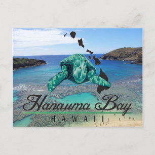 Hawaii Hanauma Bay Turtle - Honu Postcard