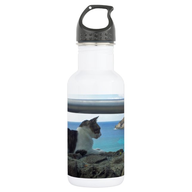 Hawaii Hanaumna Bay Cat Stainless Steel Water Bottle (Front)