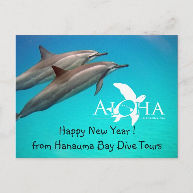 Hawaii Happy New Year Holiday Postcard (Front)