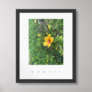 Hawaii Hibiscus Flower Travel Photography Poster