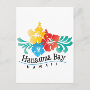 Hawaii Hibiscus Flowers Postcard