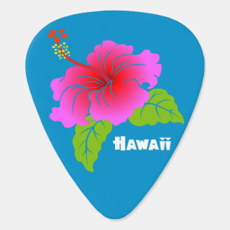 Hawaii Hibiscus Guitar Pick