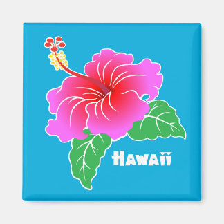 Hawaii Hibiscus Magnet