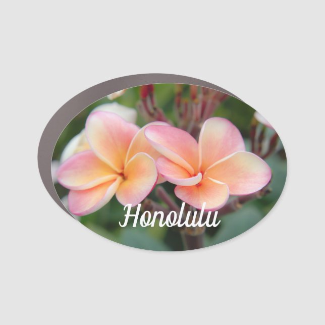 Hawaii Honolulu oval car magnet (Front)