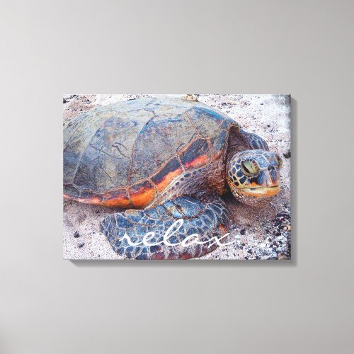 Hawaii Honu Sea Turtle Beach Close_up Photo Relax Canvas Print