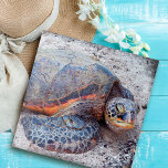 Hawaii Honu Sea Turtle Photo Stylish Colorful Jigsaw Puzzle<br><div class="desc">Sea turtles certainly know how to relax in the sun. Drift back to the warm breezes of the Hawaiian Islands whenever you spend time working on this beautiful, stunning, colorful honu sea turtle close-up photo jigsaw puzzle. Makes a great gift for someone special! Comes in a special gift box. You...</div>