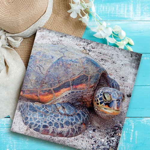 Hawaii Honu Sea Turtle Photo Stylish Colorful Jigsaw Puzzle
