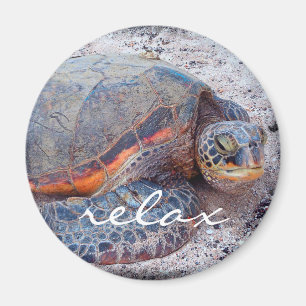 Hawaii honu tropical sea turtle photo relax script magnet