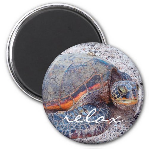 Hawaii honu tropical sea turtle photo relax script magnet