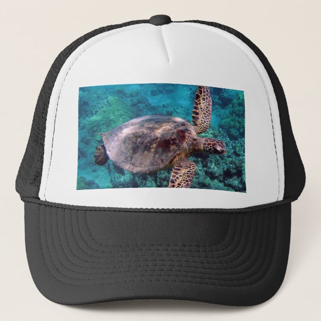 Hawaii Honu Turtle Cap (Front)