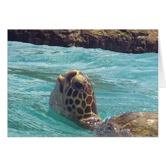 Hawaii Honu Turtle Cards (Front Horizontal)