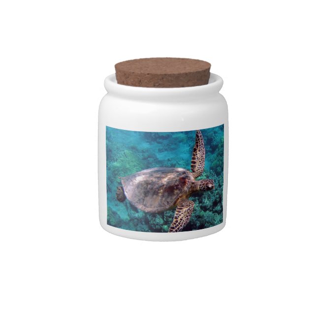 Hawaii Honu Turtle Cookie Jar (Front)