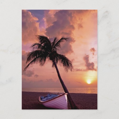 Hawaii Island Travel Beach Sunset Palm Tree Boat Postcard