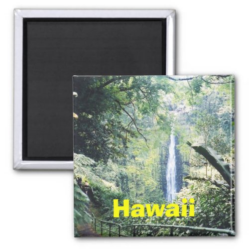 Hawaii magnet