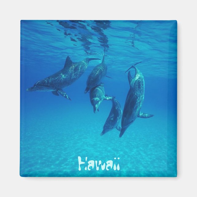 Hawaii Magnet (Front)