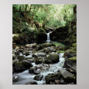 Hawaii, Maui, A waterfall flows into Blue Pool Poster