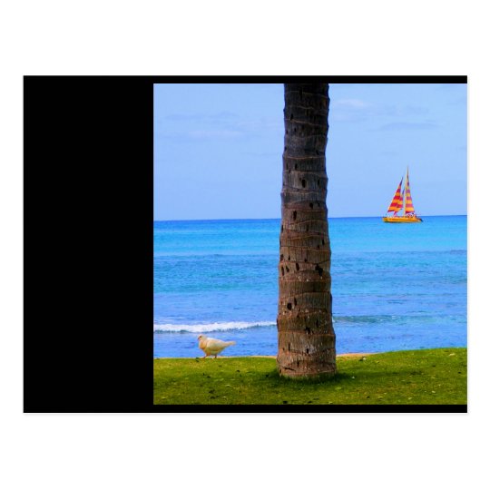 Hawaii Nature Postcard