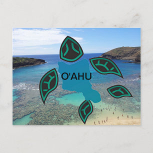 Hawaii Oahu Island Turtle Postcard