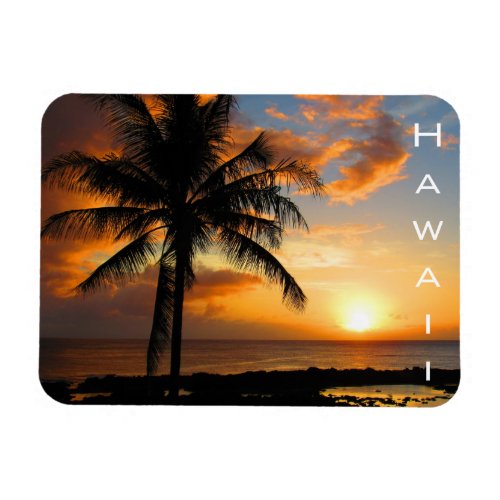 hawaii palm sunset magnet