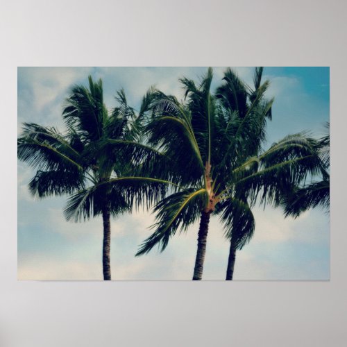 Hawaii Palm Trees Poster