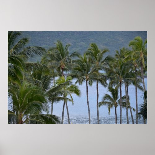 Hawaii Palm Trees Poster